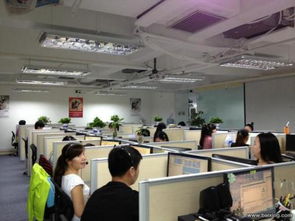 深圳神州商務(wù)信息咨詢公司工作環(huán)境探析 專業(yè)咨詢平臺(tái)的職場氛圍與機(jī)遇